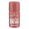 WATER DEW SERUM BLUSH 30 ROSE MOOD