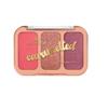 CARAMELTED BLUSH PALETTE 01