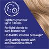LIVE INTENSE COLOUR HONEY BLONDE