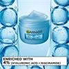 GARNIER SORBET TRIPLE SCOOP