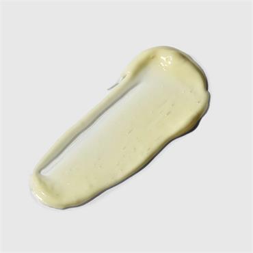 PAI THE PIONEER MATTIFYING MOISTURIZER 50ML