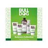 BULLDOG BODY CARE COLLECTION
