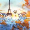 BELLE BELLE EDP 50ML