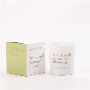 SIGNATURE SCENTS CITRUS, BASIL & ORANGE BLOSSOM CANDLE 180G