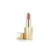 LISA AND CO PERFECT NUDE LIPSTICK