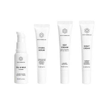 THE MINI ESSENTIALS KIT