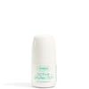 ACTIVE PROTECTION ANTIPERSPIRANT