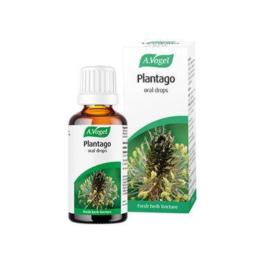 PLANTAGO HERBAL ORAL DROPS FOR THROAT & RESPIRATORY SUPPORT