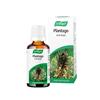 PLANTAGO HERBAL ORAL DROPS FOR THROAT & RESPIRATORY SUPPORT