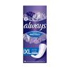 ALWAYS DAILY PROTECT EXTRA LONG ODOUR LOCK LINERS X24