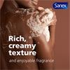 SANEX SKIN THERAPY ANTI-DRYNESS BODY WASH 450ML