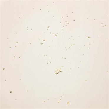 GINSENG CLEANSING OIL 210ML