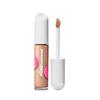 POREFESSIONAL CONCEALER