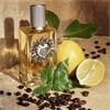 DEVOTION POUR HOMME EAU DE PARFUM
