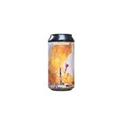 O BROTHER BREWING YEAR OF THE PLENTY SAISON 44CL 5.8%