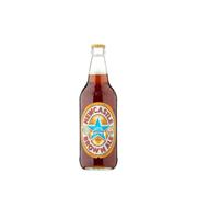NEWCASTLE BROWN ALE 55CL 4.7%