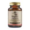 Solgar Magnesium L-Threonate 60 Capsules