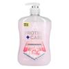 Astonish Protect + Care Soap 600ml