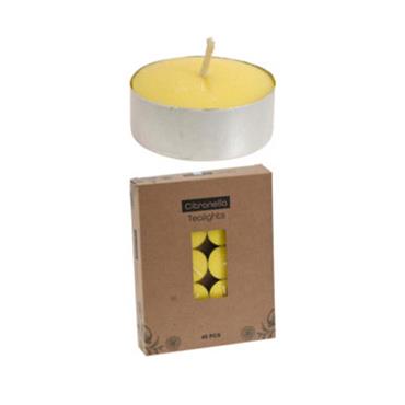 TEALIGHTS 40PC CITRONELLA