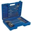 Silverline 15 Piece SDS Bit Set 196570