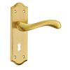 Fortessa Versailles Privacy S/Brass Box Set