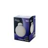 Indoor Collection 60W Bathroom Globe
