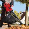 Einhell Leaf Blower Vac 3000W 240 Volt