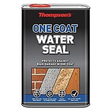 Thompsons Water Seal 1L