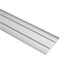 Trojan Coverstrip Chrome 0.90m A08/06/090