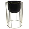 Tara Deviplanter Gold/Black Large