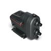 Grundfos Scala2 3-45 Booster Pump