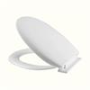 Standard Close PP Toilet Seat