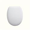 Standard Close PP Toilet Seat