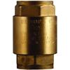 3/4 SPRING NRV VALVE GB" CV022