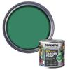Ronseal Garden Paint Rainforest Green 250ml