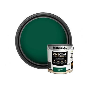 Ronseal Everywhere Paint Evergreen t 2.5L