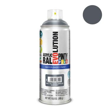 Pinty Plus Evolution WB Iron Grey 400ml