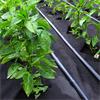 Weed Control Fabric 2m X 50m
