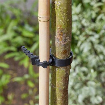 Tree Ties 60cm