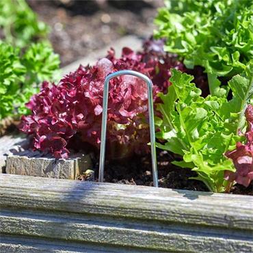 Gardeb Staples 10 Pack