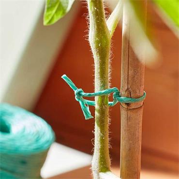 Rot-Proof Poly Twine Green 250g