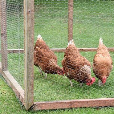 Galvanised Netting Wire Mesh 13mm  500mm