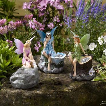 Garden Fairies Mixed Display