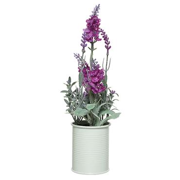 Lavender In Pot 26cm