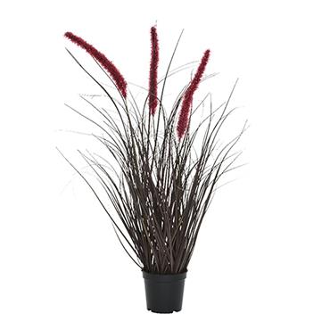 Grass In Pot Burgundy 60cm