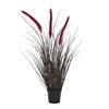Grass In Pot Burgundy 60cm
