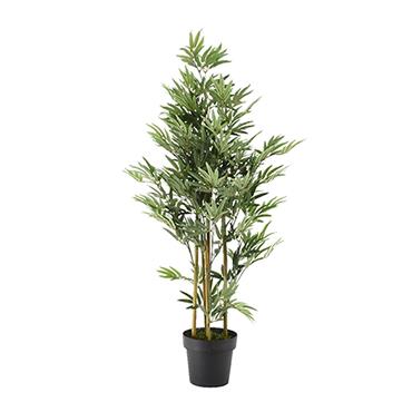 Bamboo In Plastic Pot 125cm