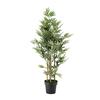 Bamboo In Plastic Pot 125cm