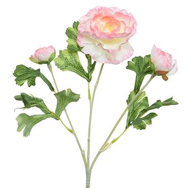 Ranunculus On Stem Pink