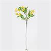 104CM YELLOW MICHELIA FIGO SPRENG SPRAY